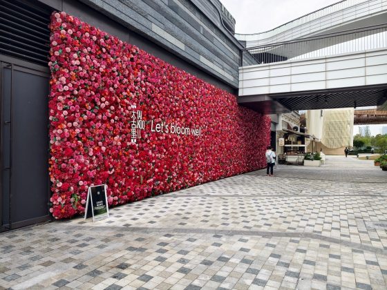 Обзор Vivo X300 Pro: флагман в области камер