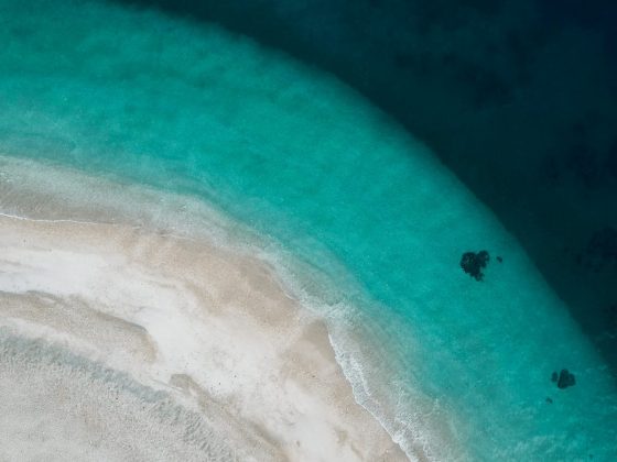 Seiko Prospex выпускает Diver's Australasian Limited Edition