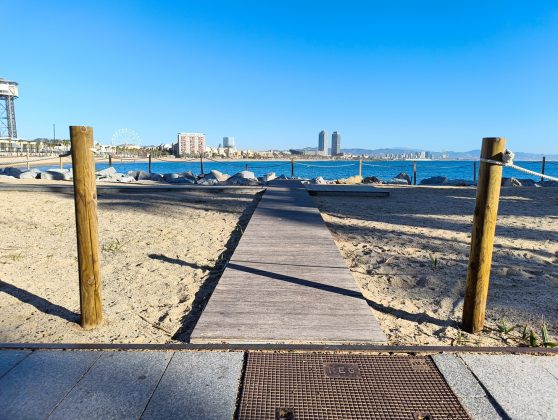 Nothing Phone 3a Lite