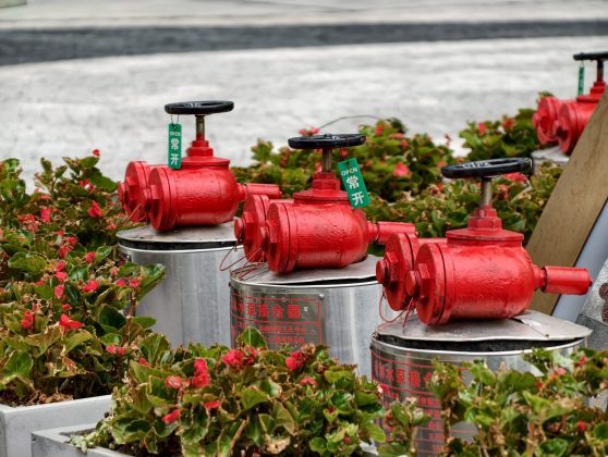 Тест vivo X300 Pro: комплект Photographer Kit в деле