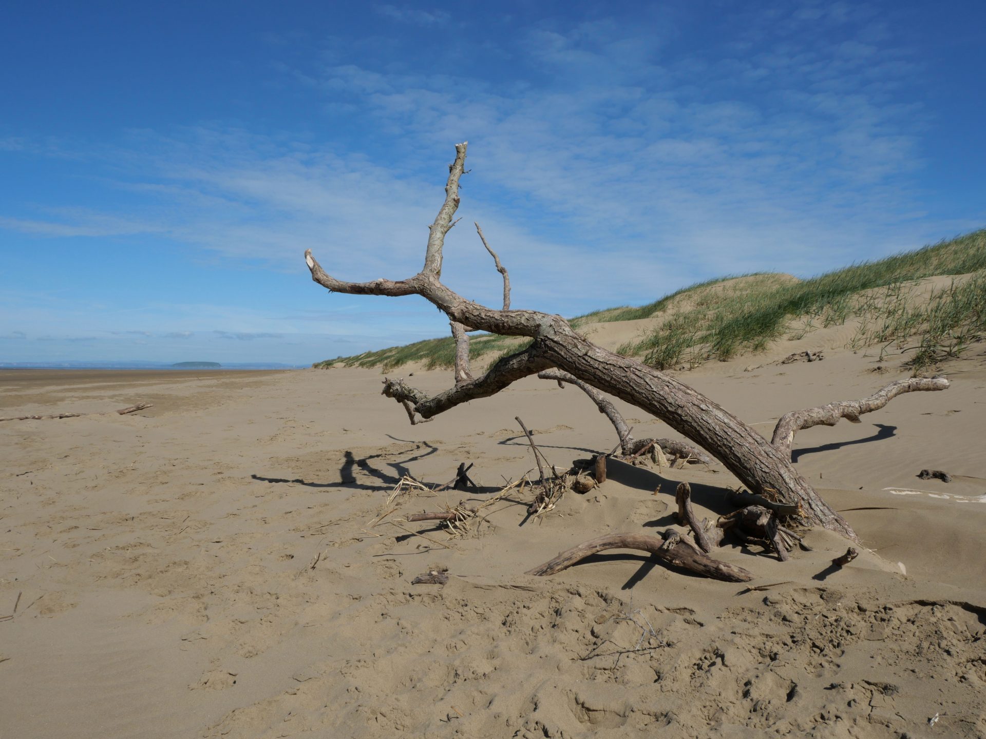 Panasonic Lumix G100D