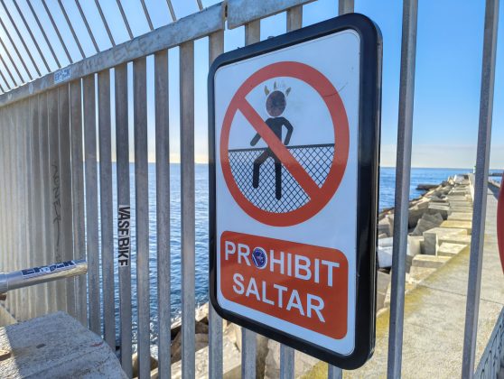 Nothing Phone 3a Lite