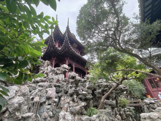 Обзор Vivo X300 Pro: лучший камерофон 2025 года?