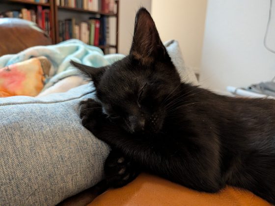 Google Pixel 10 Pro Fold