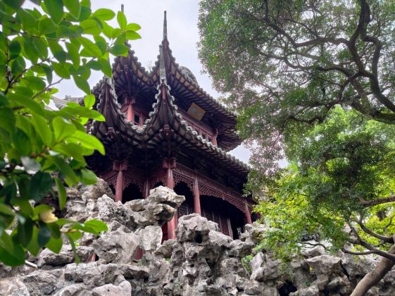 Обзор Vivo X300 Pro: лучший камерофон 2025 года?