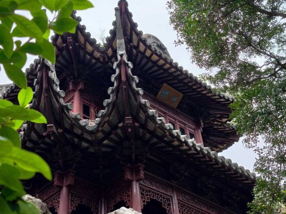 Обзор Vivo X300 Pro: лучший камерофон 2025 года?