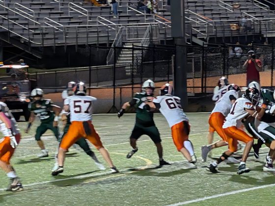 Google Pixel 10 Pro Fold