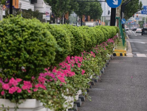 Тест vivo X300 Pro: комплект Photographer Kit в деле