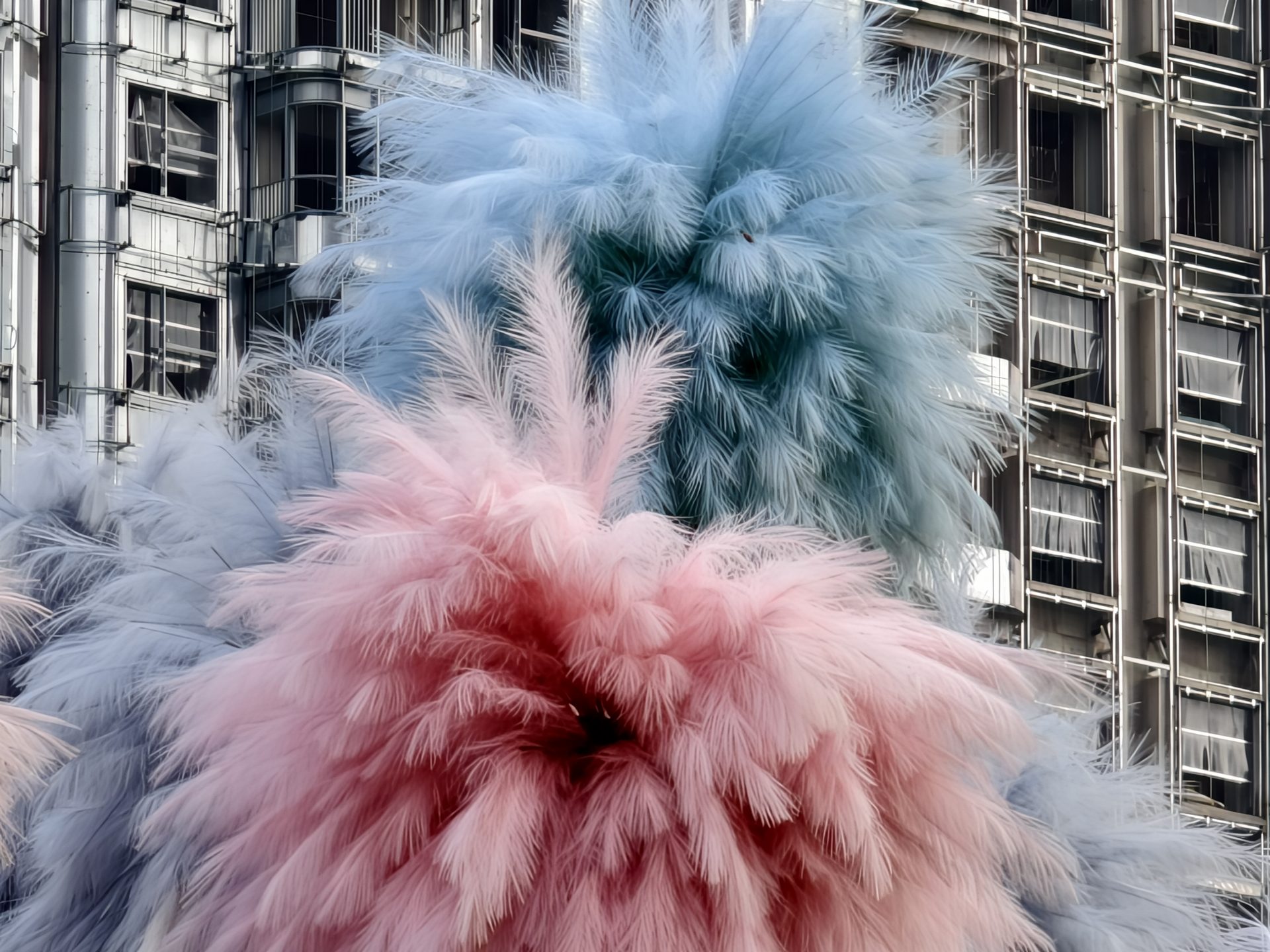 Обзор vivo X300 и vivo X300 Pro: удобные, красивые, компактные картинка vivo X300 и vivo X300 Pro