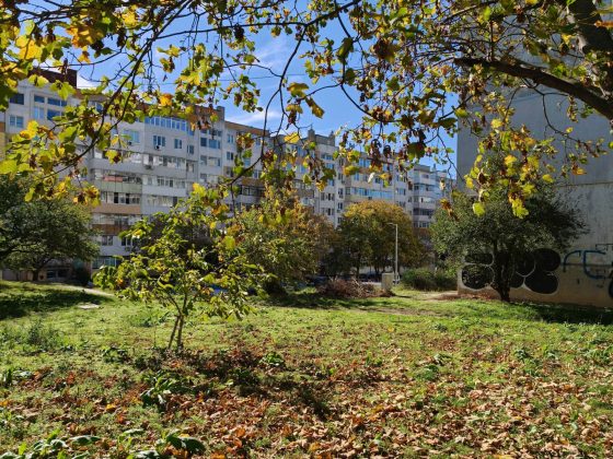 Обзор Oppo Find X9 Pro: самый необычный флагман — во всех смыслах