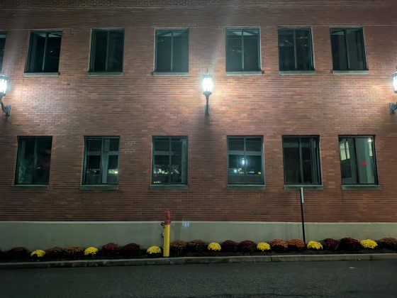 Google Pixel 10 Pro Fold