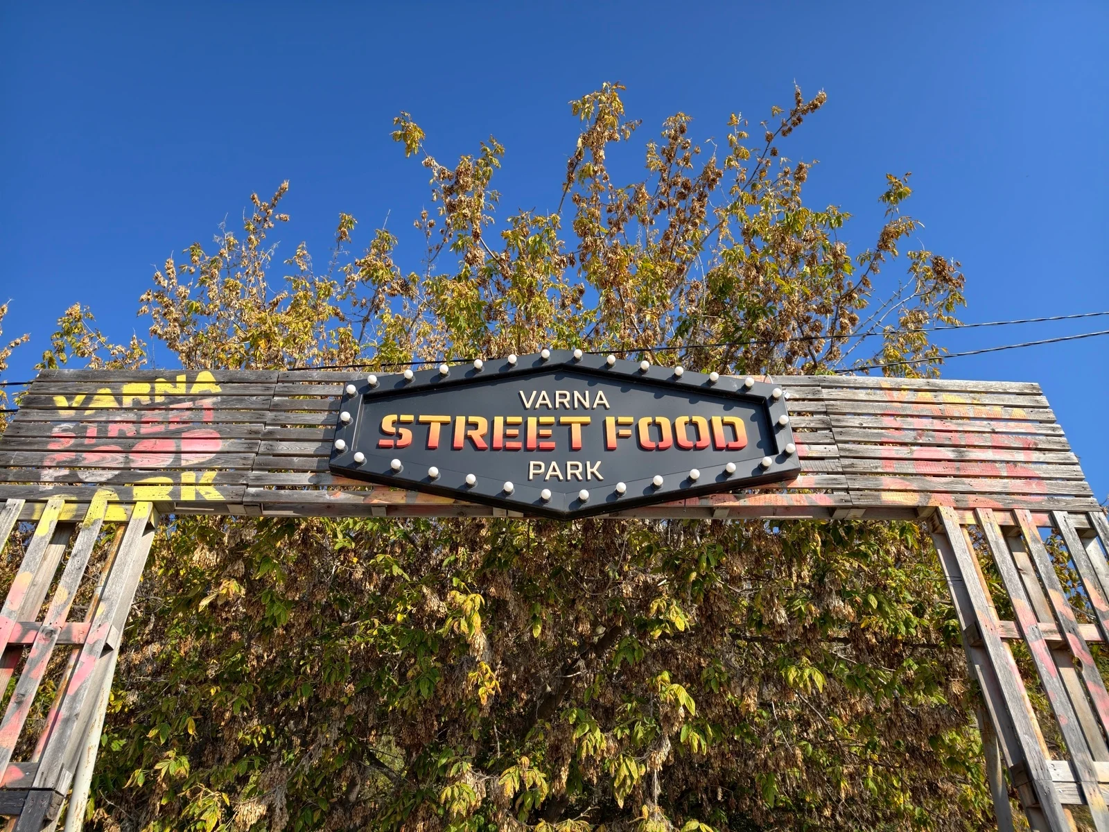 Vivo X300 Pro против Oppo Find X9 Pro : два исключительных камерофона! картинка Oppo Find X9 Pro против Vivo X300 Pro