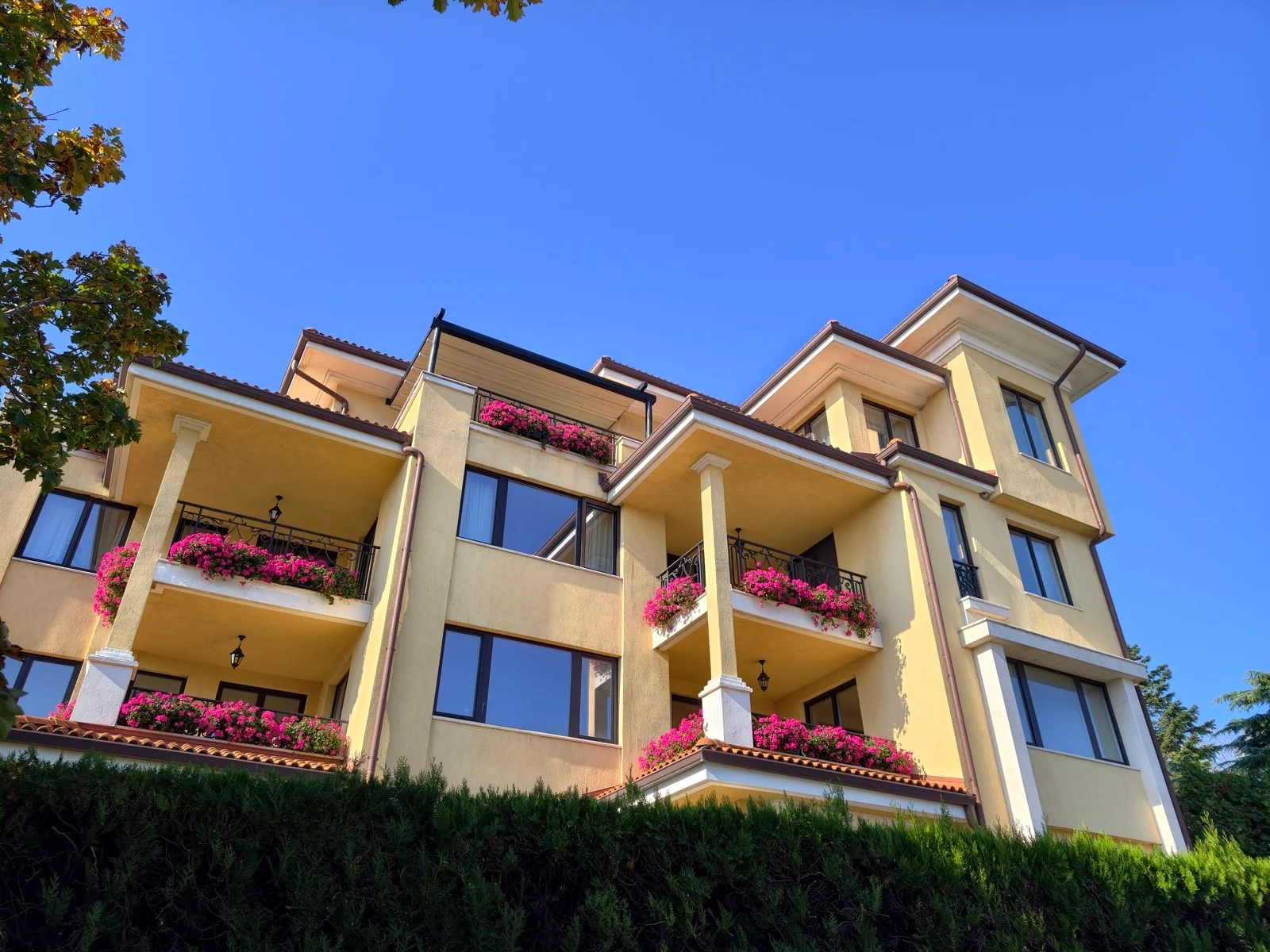 Vivo X300 Pro против Oppo Find X9 Pro : два исключительных камерофона! картинка Oppo Find X9 Pro против Vivo X300 Pro