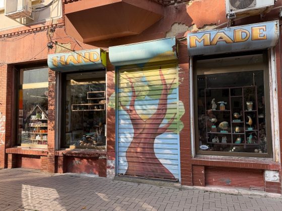 iPhone 17 Pro Max против Vivo X300 Pro: чьи камеры лучше?