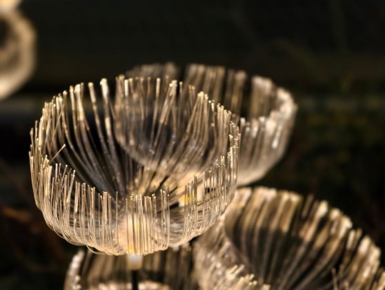 Обзор Vivo X300 Pro: флагман в области камер