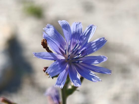 Обзор Oppo Find X9 Pro: самый необычный флагман — во всех смыслах