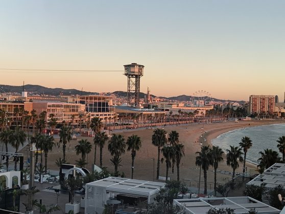 Nothing Phone 3a Lite