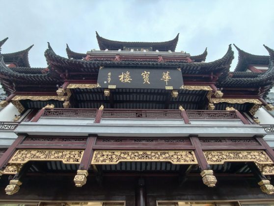 Обзор Vivo X300 Pro: флагман в области камер