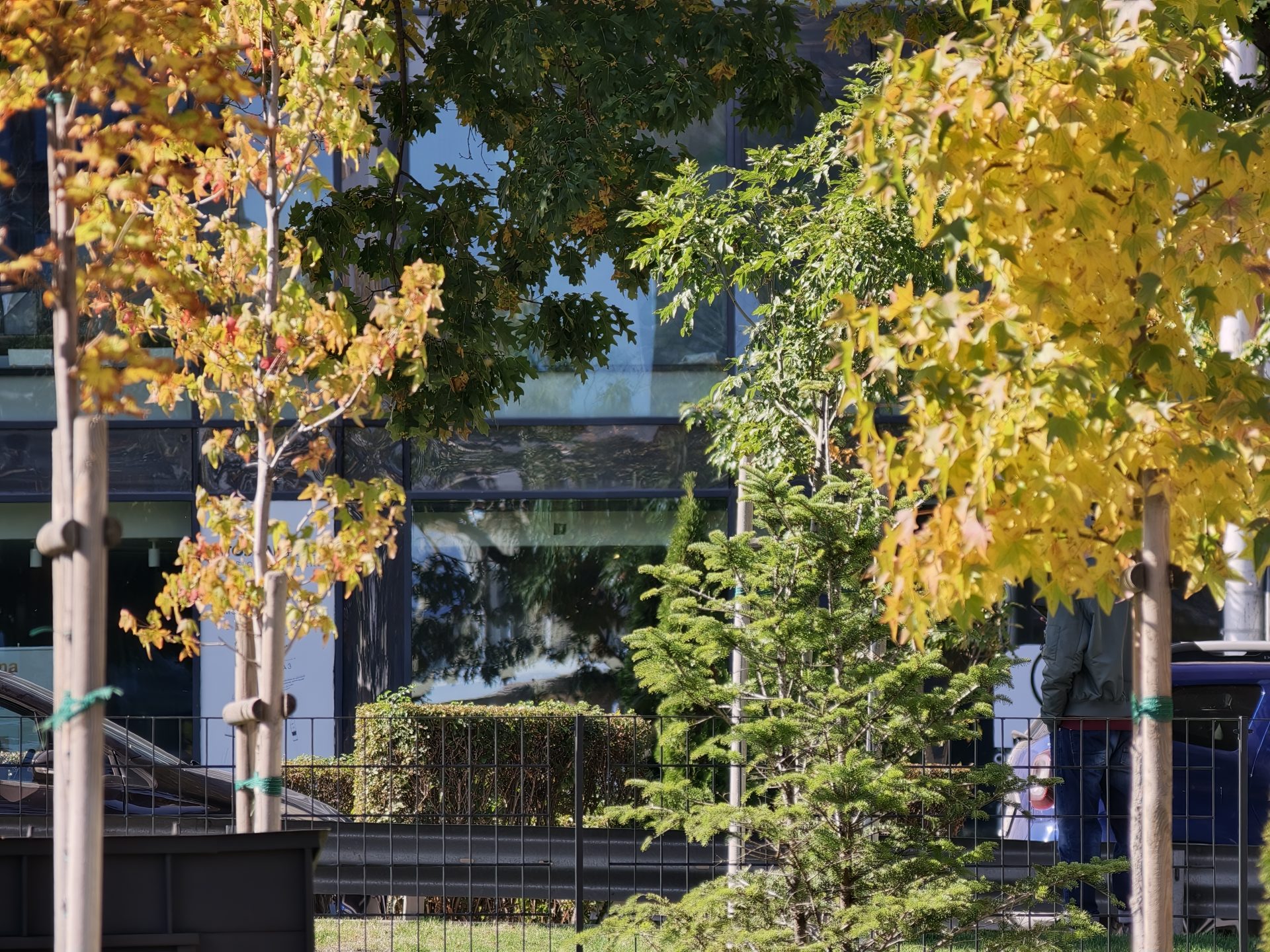 Обзор Oppo Find X9 Pro: камерофон высокого класса картинка Обзор Oppo Find X9 Pro: камерофон высокого класса фото