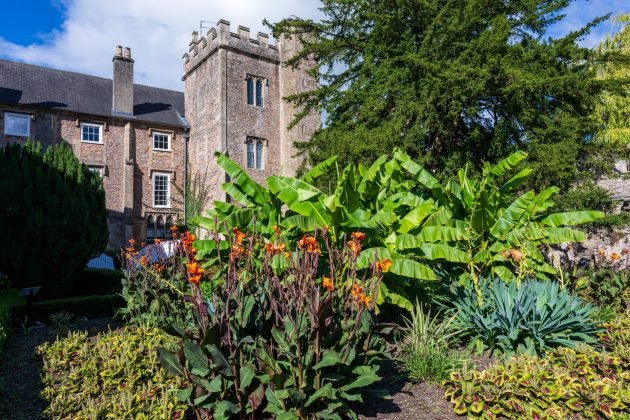 Nikon Z 24-70mm f/2.8 S II