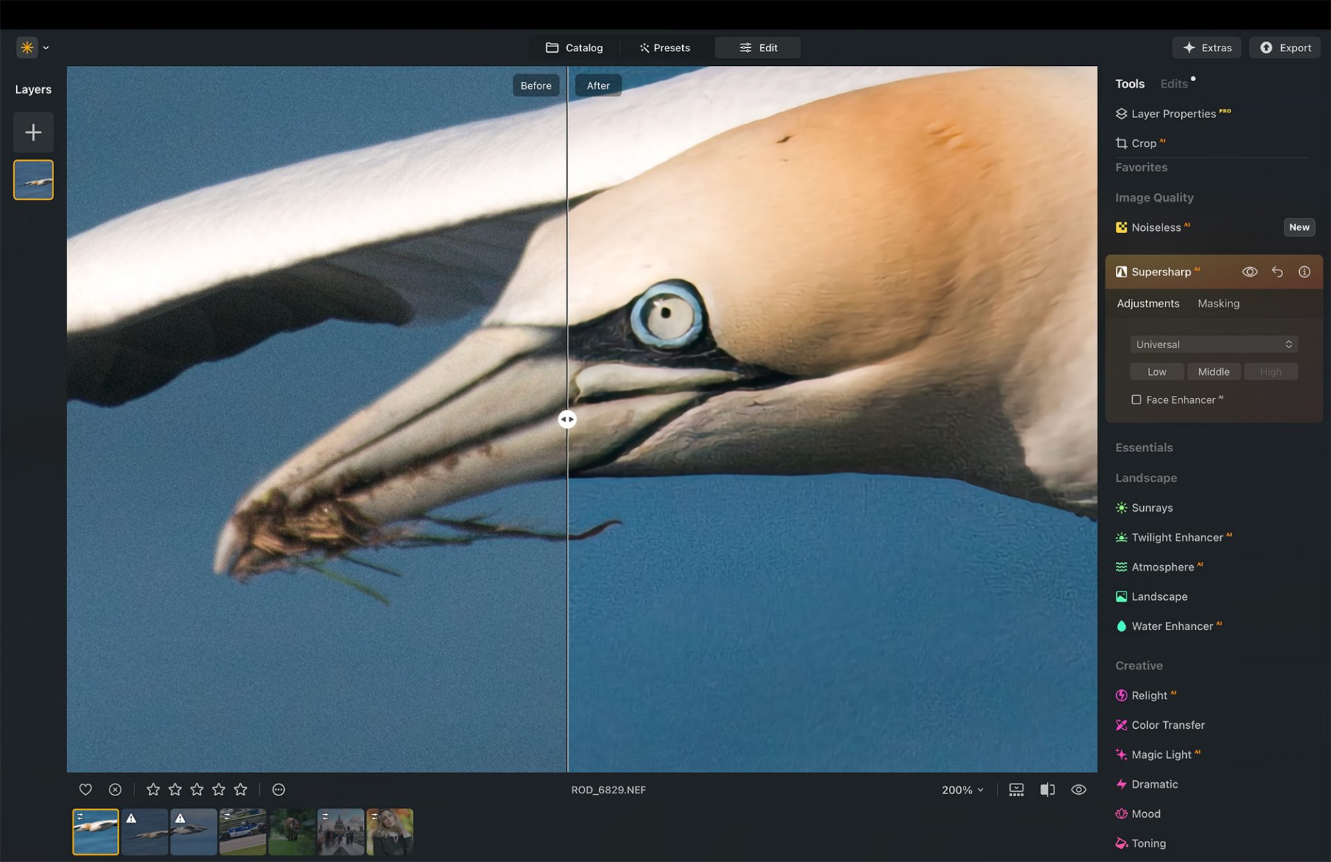 Умное редактирование: как ИИ Luminar Neo экономит время фотографам