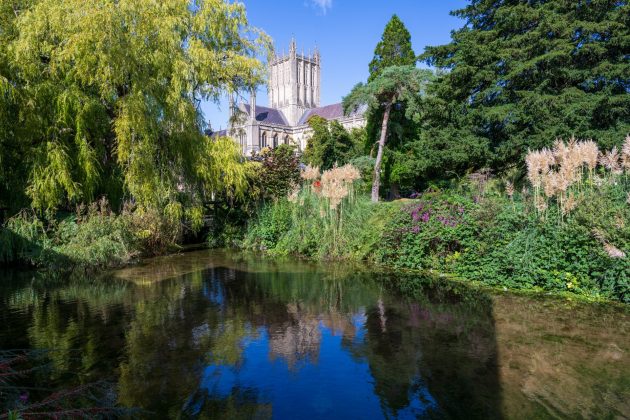 Nikon Z 24-70mm f/2.8 S II