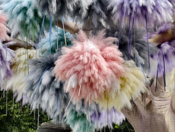 Обзор Vivo X300 Pro: флагман в области камер