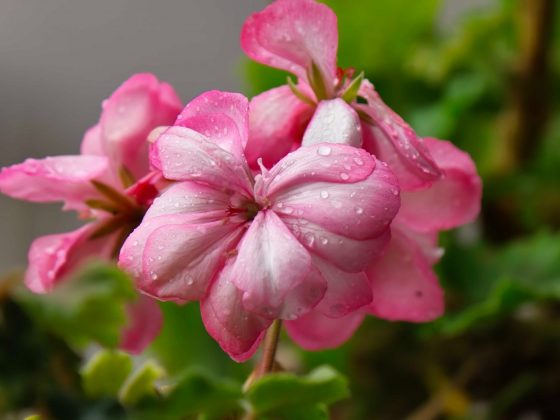 Обзор Oppo Find X9 Pro: самый необычный флагман — во всех смыслах