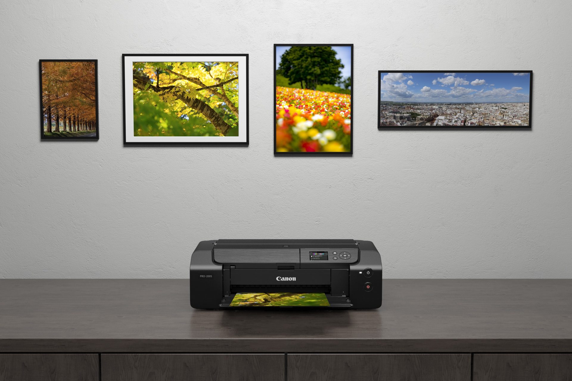 От А до А2: гид по выбору профессионального принтера для фотографов