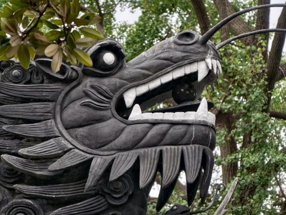 Обзор Vivo X300 Pro: флагман в области камер