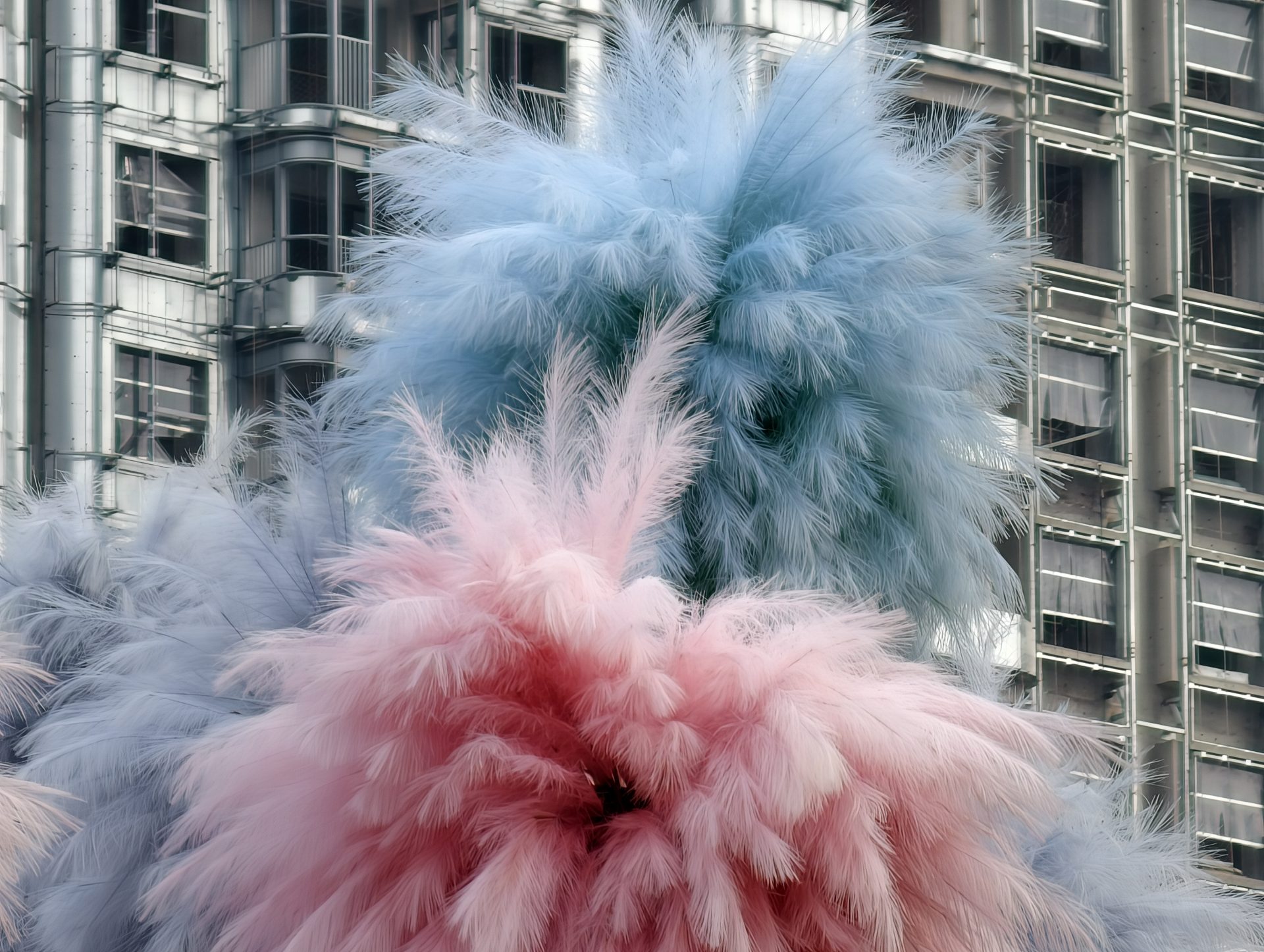 Обзор vivo X300 и vivo X300 Pro: удобные, красивые, компактные картинка vivo X300 и vivo X300 Pro