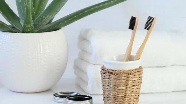 алоэ против плесени