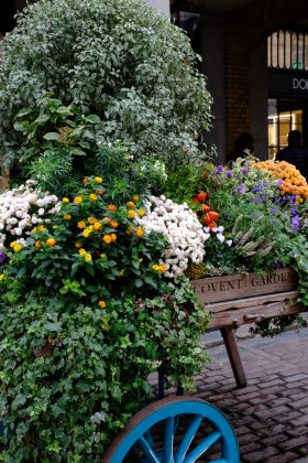 Fujifilm X-T30 III: ретро-камера для семьи с новым мозгом, но старым сердцем