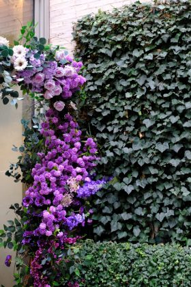 Fujifilm X-T30 III: ретро-камера для семьи с новым мозгом, но старым сердцем