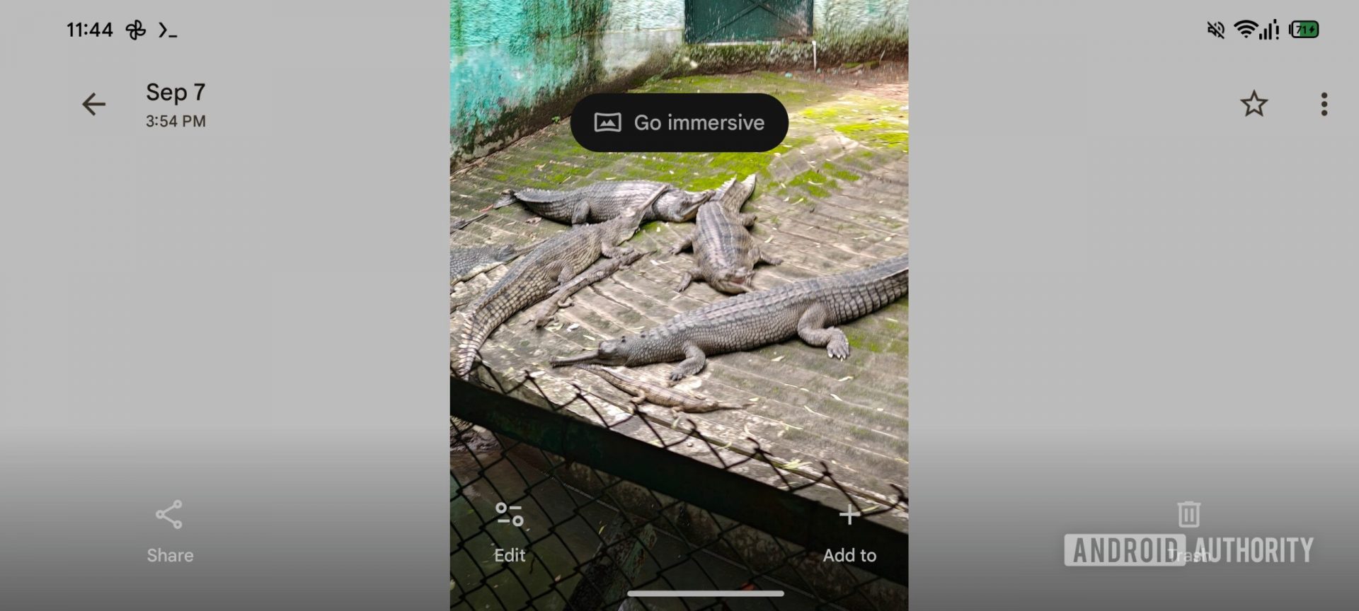 Революция в организации: в Google Photos вкладка для 3D фото