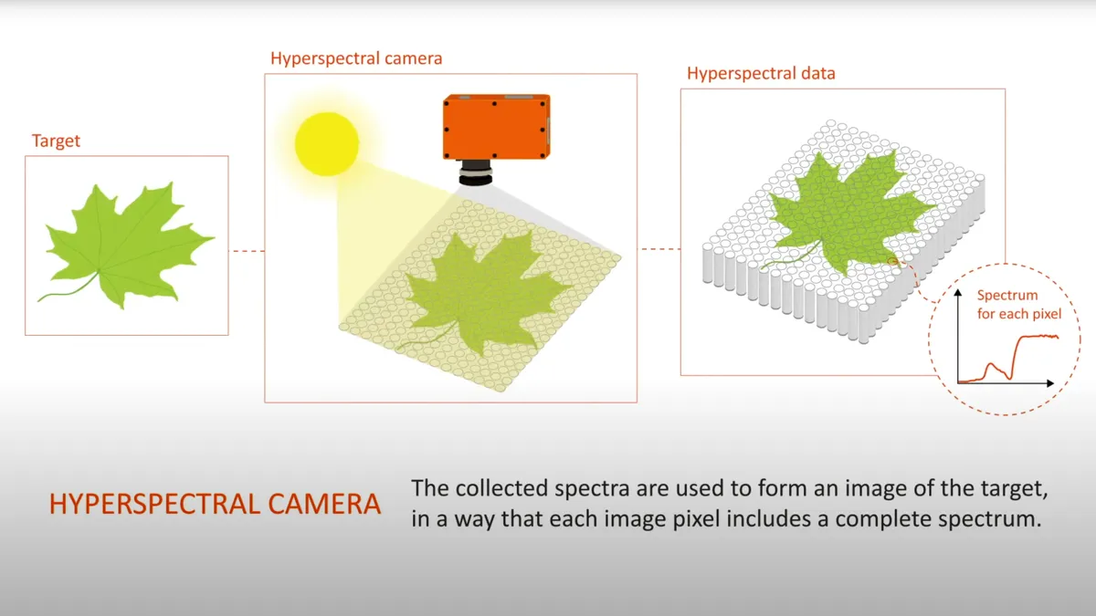 Hyperspectral: камера смартфона видит 25 цветовых каналов