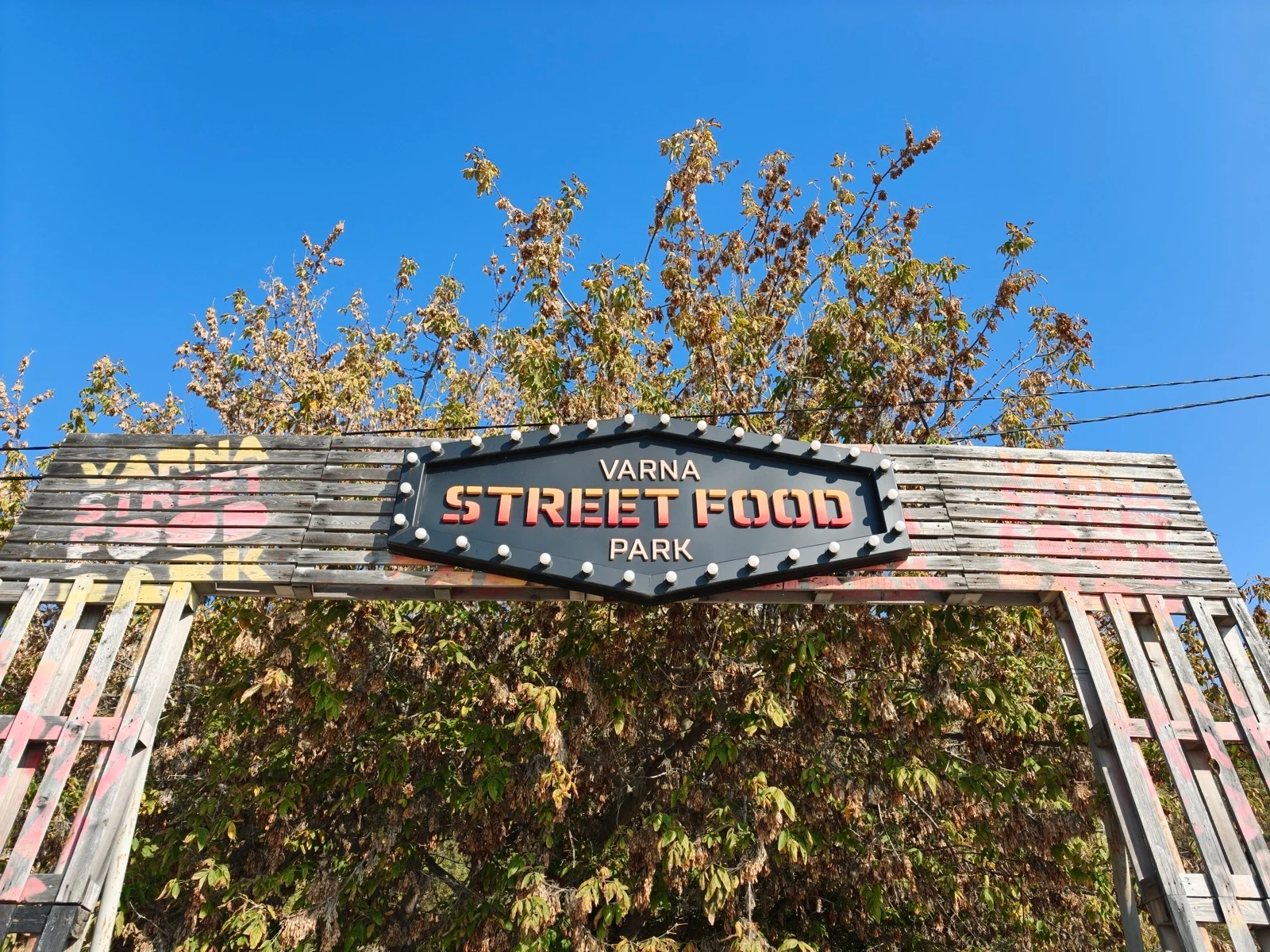 Vivo X300 Pro против Oppo Find X9 Pro : два исключительных камерофона! картинка Oppo Find X9 Pro против Vivo X300 Pro