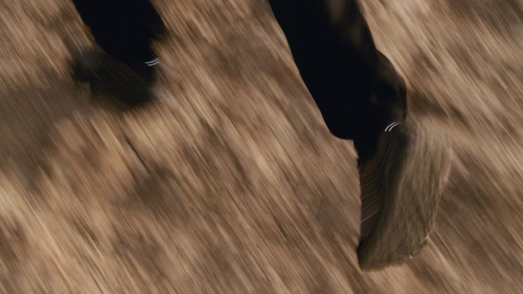 Готовы к ливню: обзор коллаборации Hoka и Gore-Tex Stinson Haven