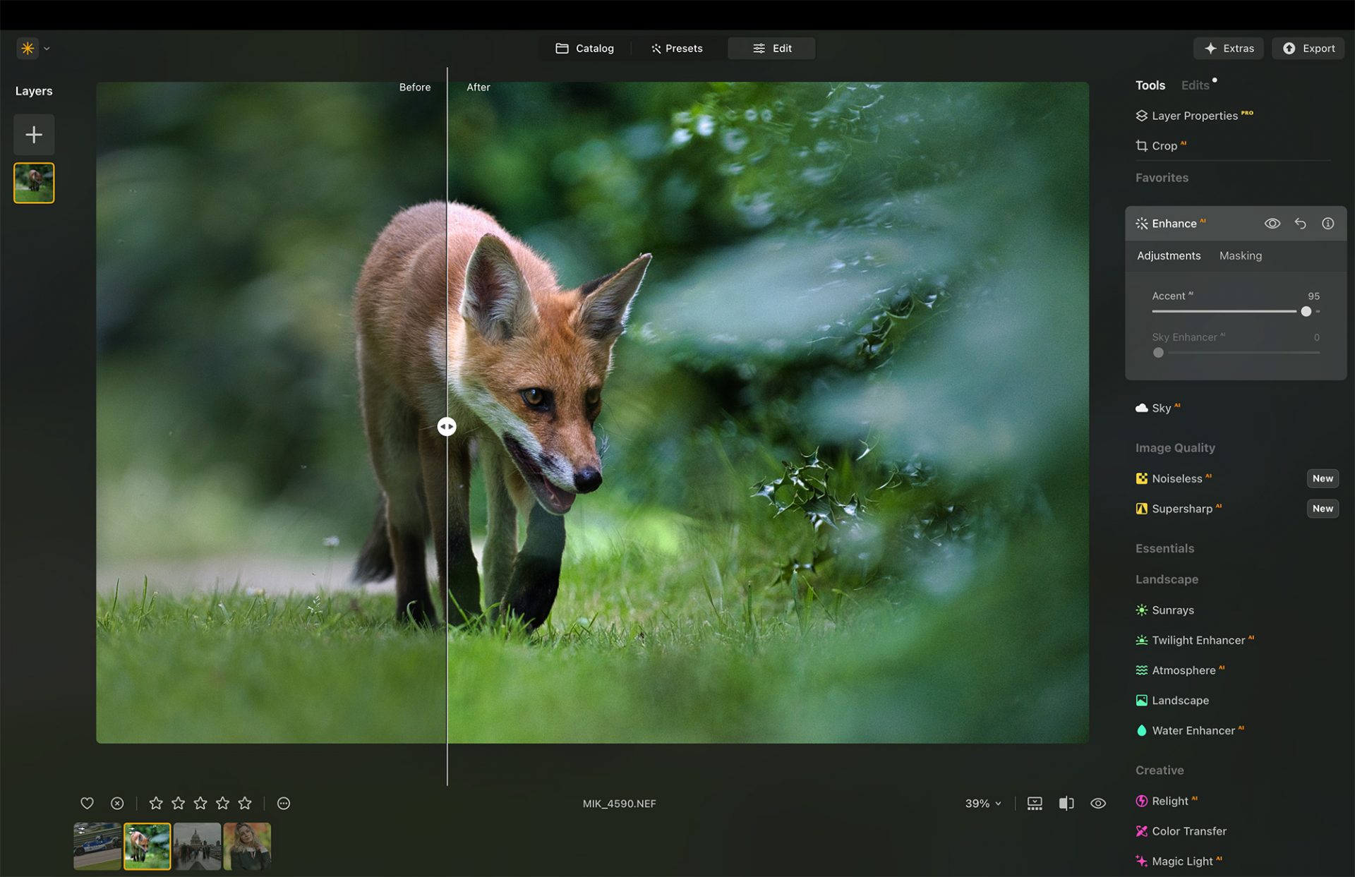 Умное редактирование: как ИИ Luminar Neo экономит время фотографам