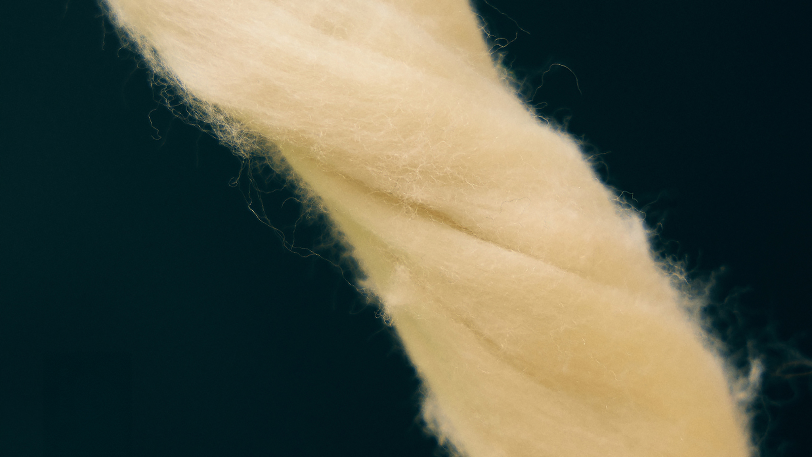 Эко-премиум: почему коллекция Ciele x Woolmark изменит ваш бег