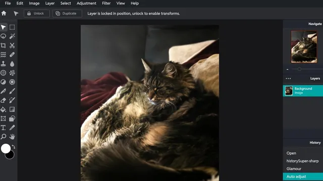 Онлайн-редакторы фотографий