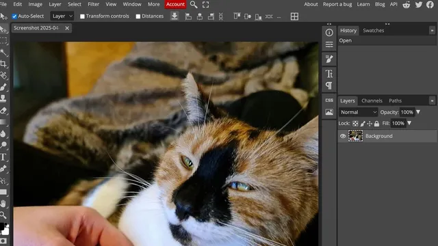 Онлайн-редакторы фотографий