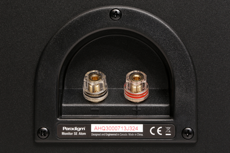 Paradigm Monitor SE Atom