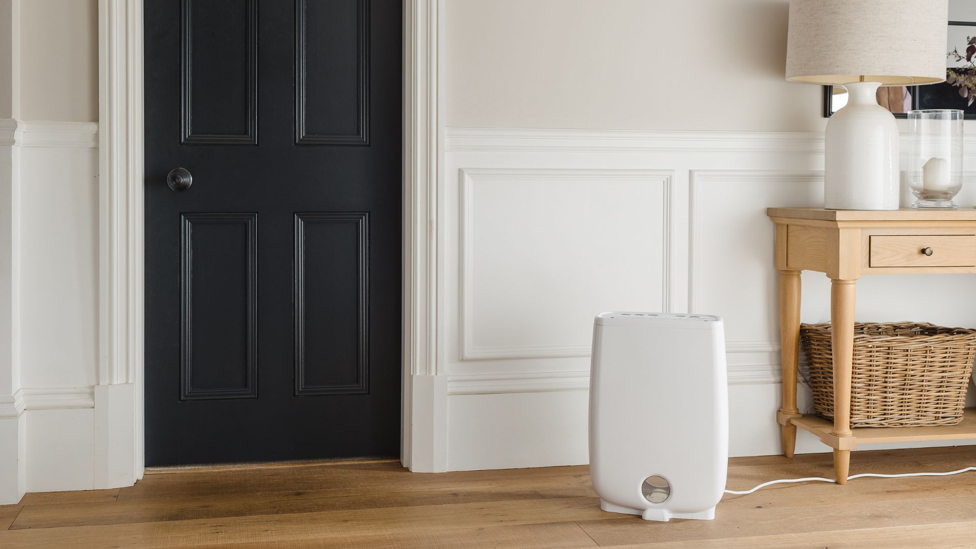 Плесень в каждом углу: почему вы ошибались насчет своего дома