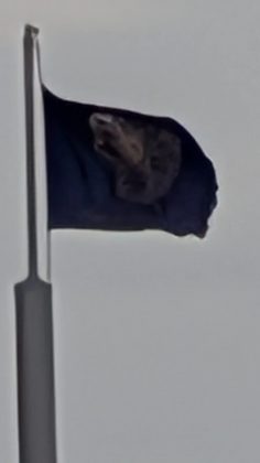 Google Pixel 10 Pro XL