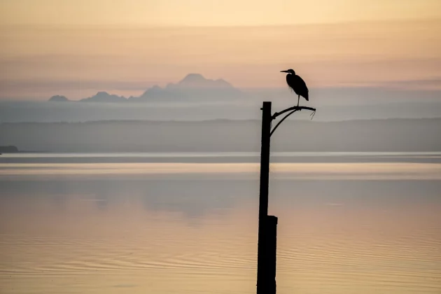 Tamron 25–200 мм