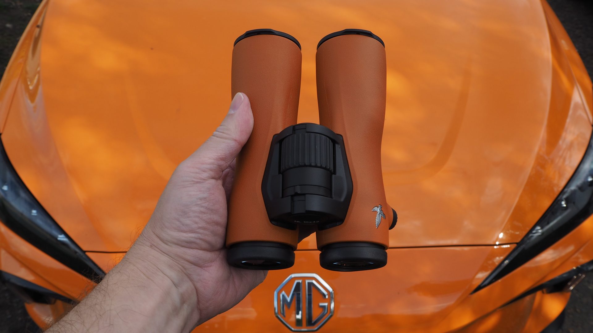 Swarovski NL Pure 10x42