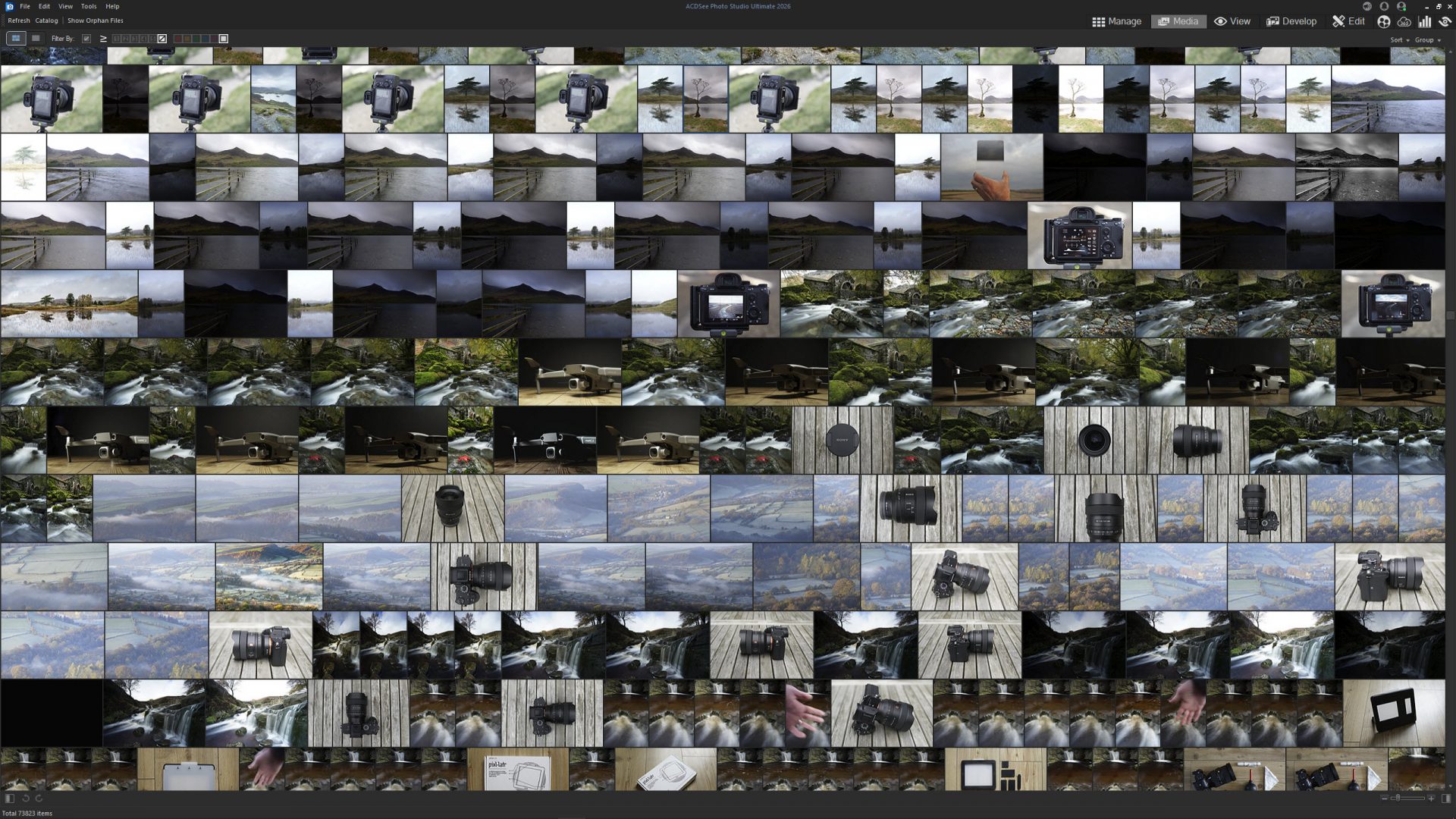 Обзор ACDSee Photo Studio Ultimate 2026: новые функции, тот же рабочий процесс картинка ACDSee Photo Studio Ultimate 2026