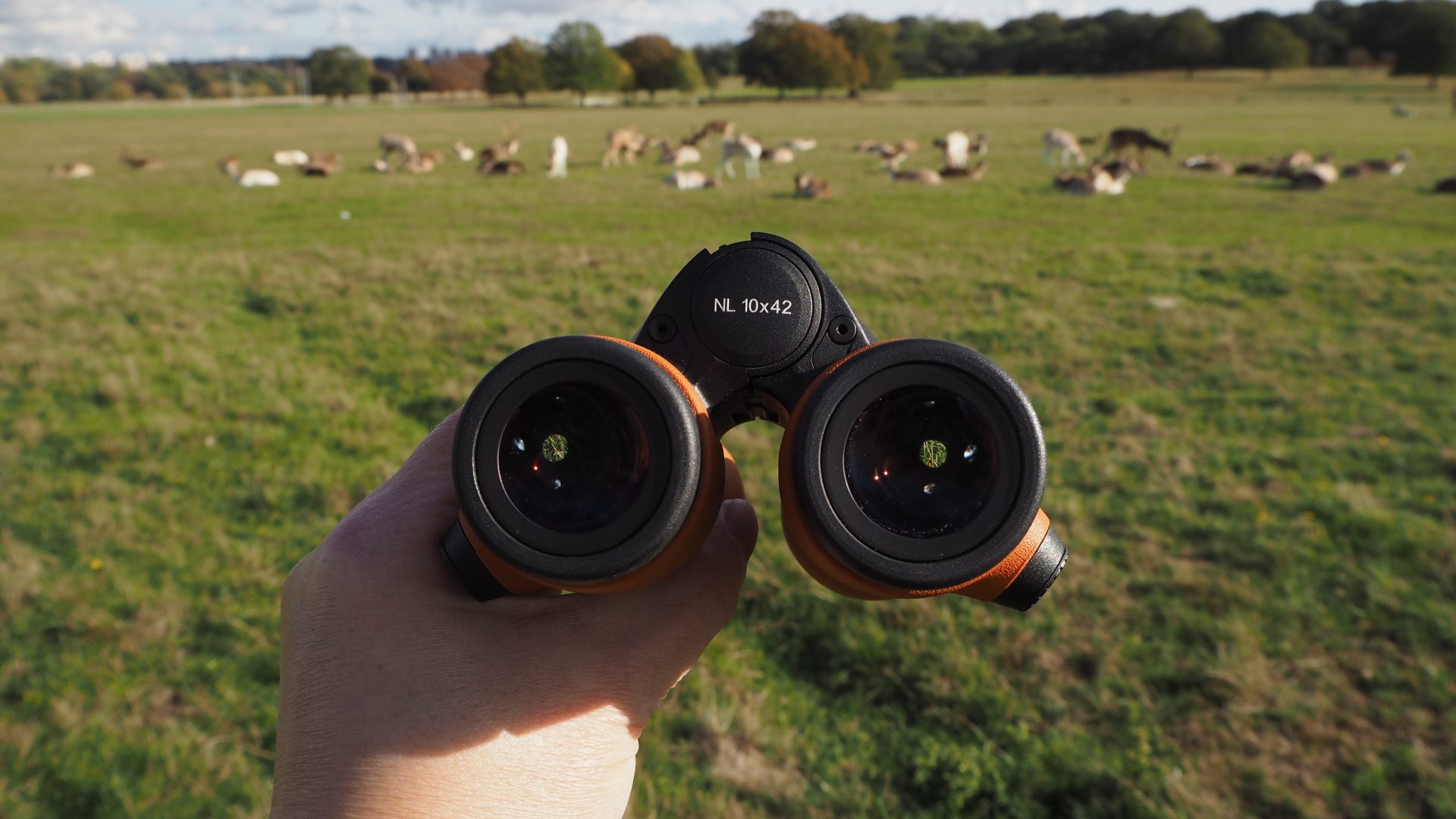 Swarovski NL Pure 10x42