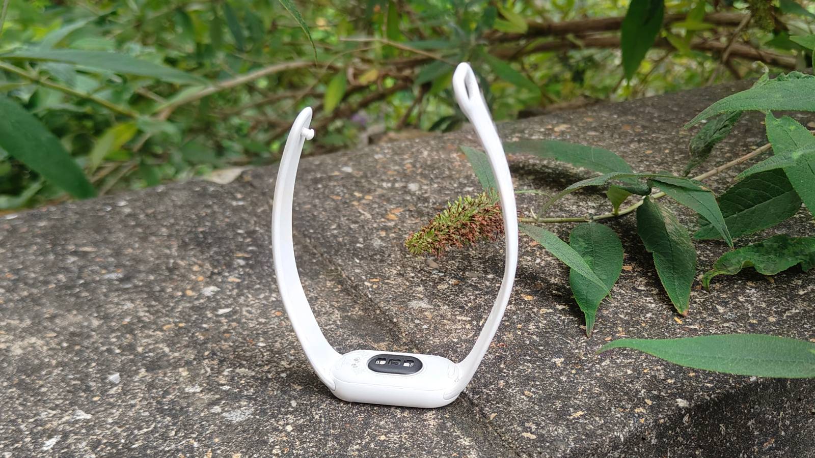 Xiaomi Smart Band 10